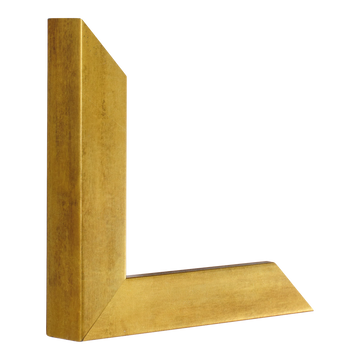 Vertical view of classic i antique gold picture frame