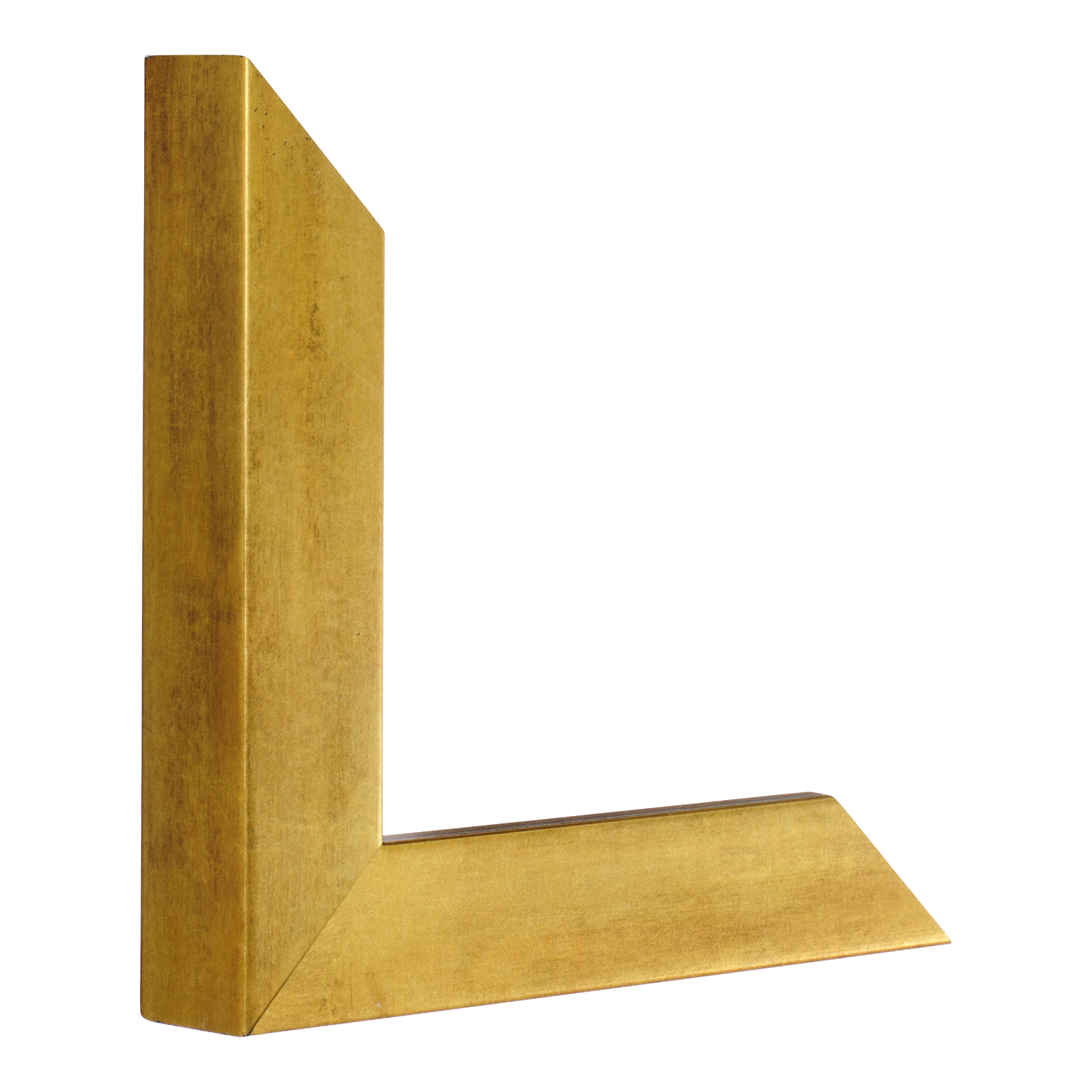 Vertical view of classic i antique gold picture frame