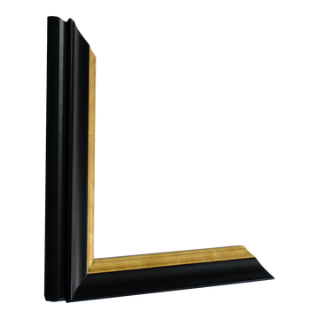 Vertical view of diploma black & gold picture frame