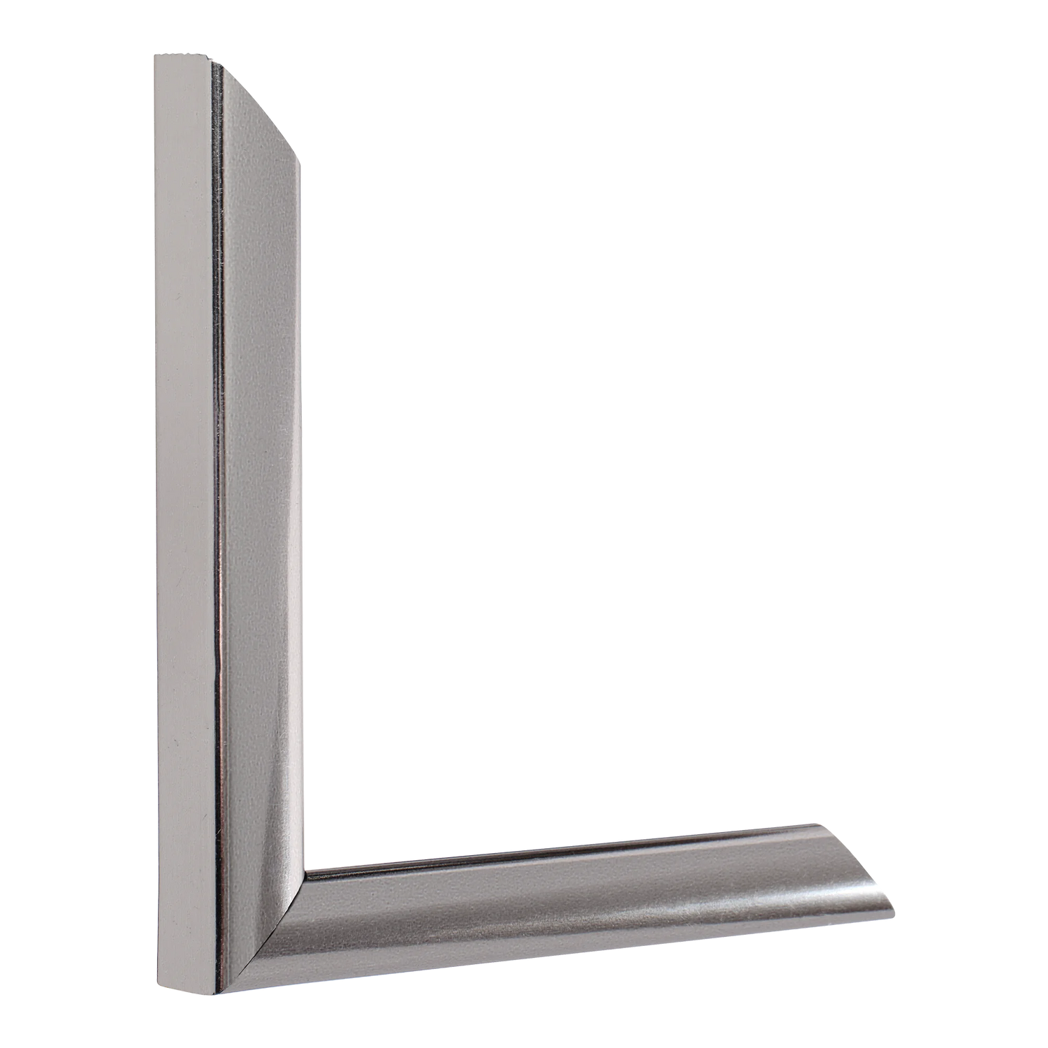 Vertical view of echo chrome picture frame