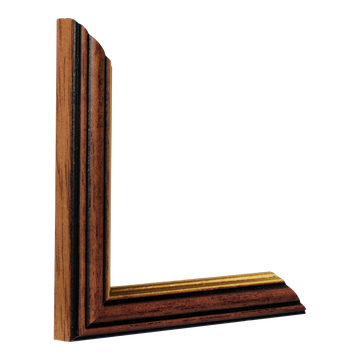 Vertical view of empire ii brown & gold picture frame