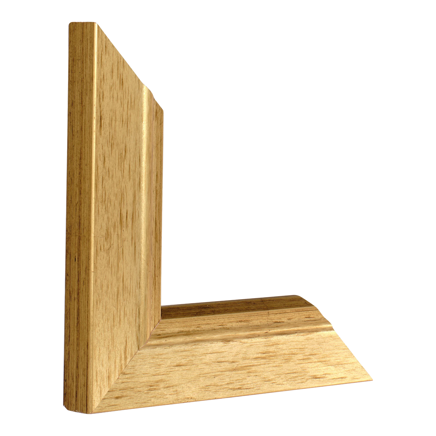 Vertical view of florenza gold picture frame