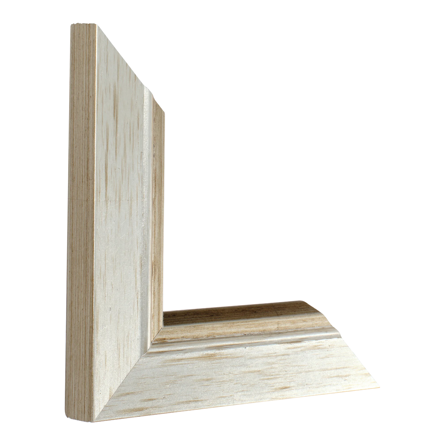 Vertical view of florenza silver picture frame