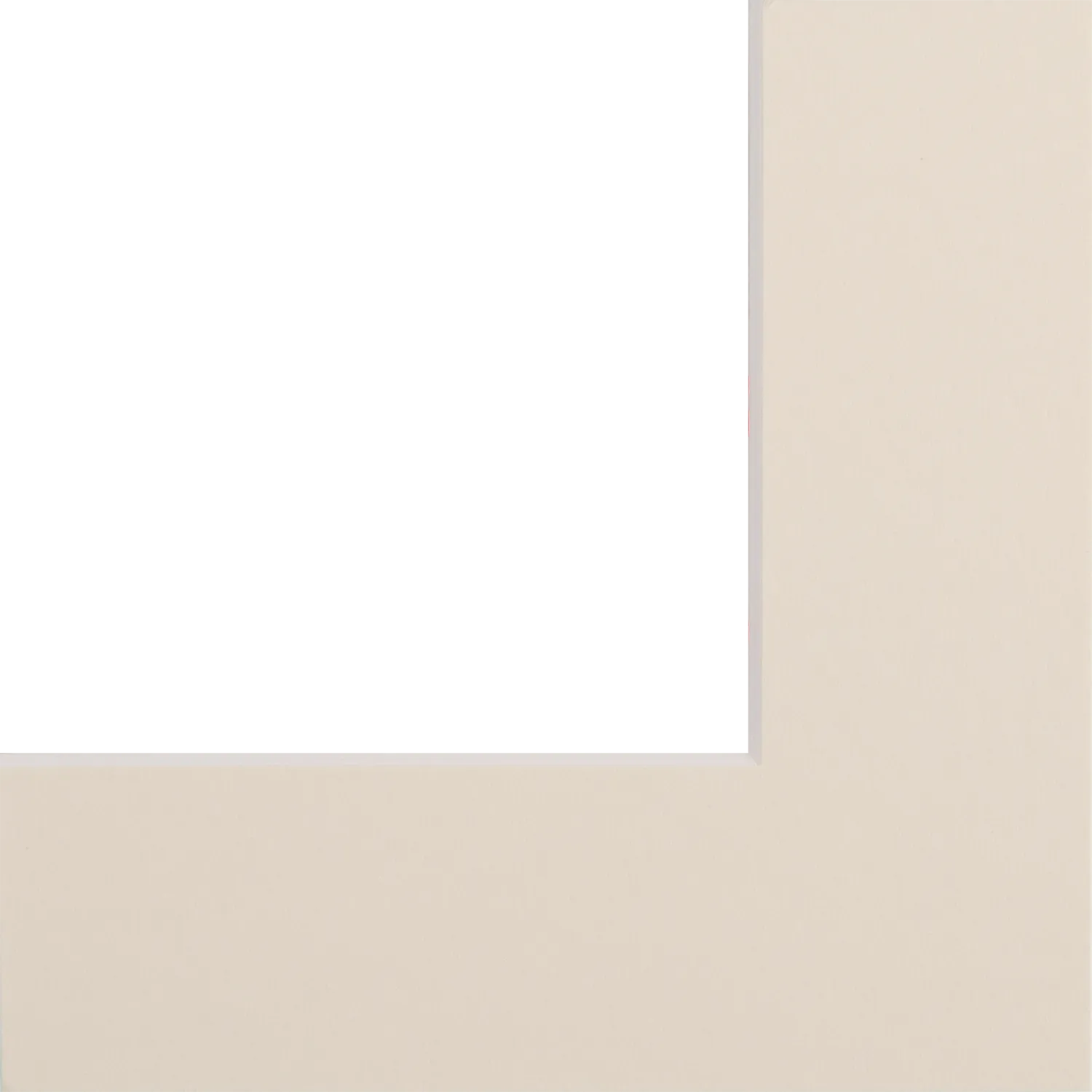 Ivory Mount Sample