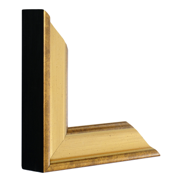 Vertical view of majestic gold picture frame