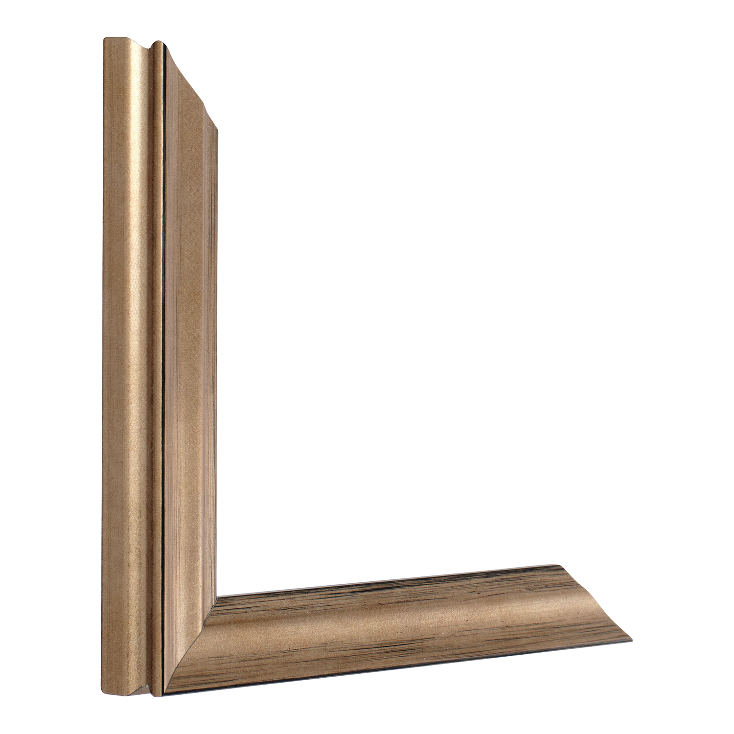 Vertical view of monarch bronze picture frame