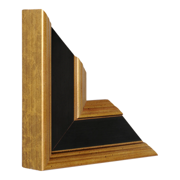 Vertical view of palazzo black & gold picture frame