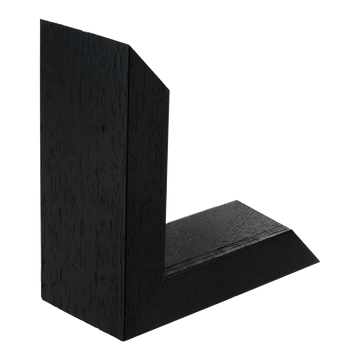 Spacer II in black & black grain picture frame