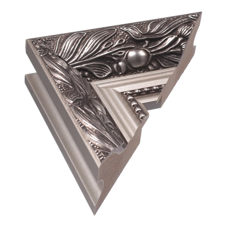 Baroque III in silver picture frame