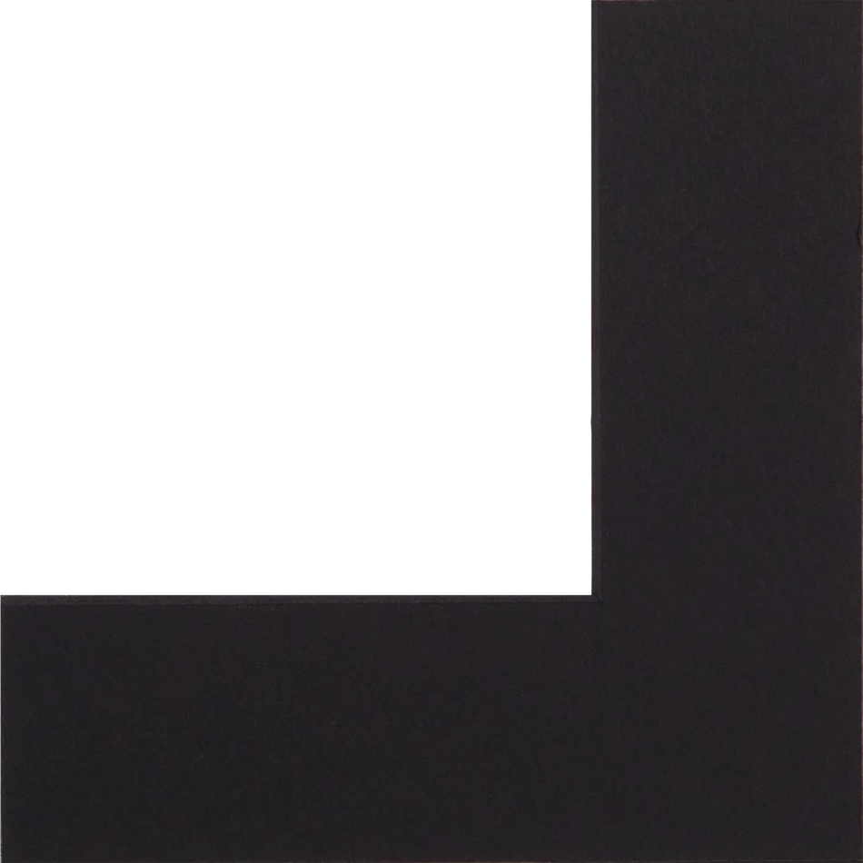 Black Black Core Mount Sample