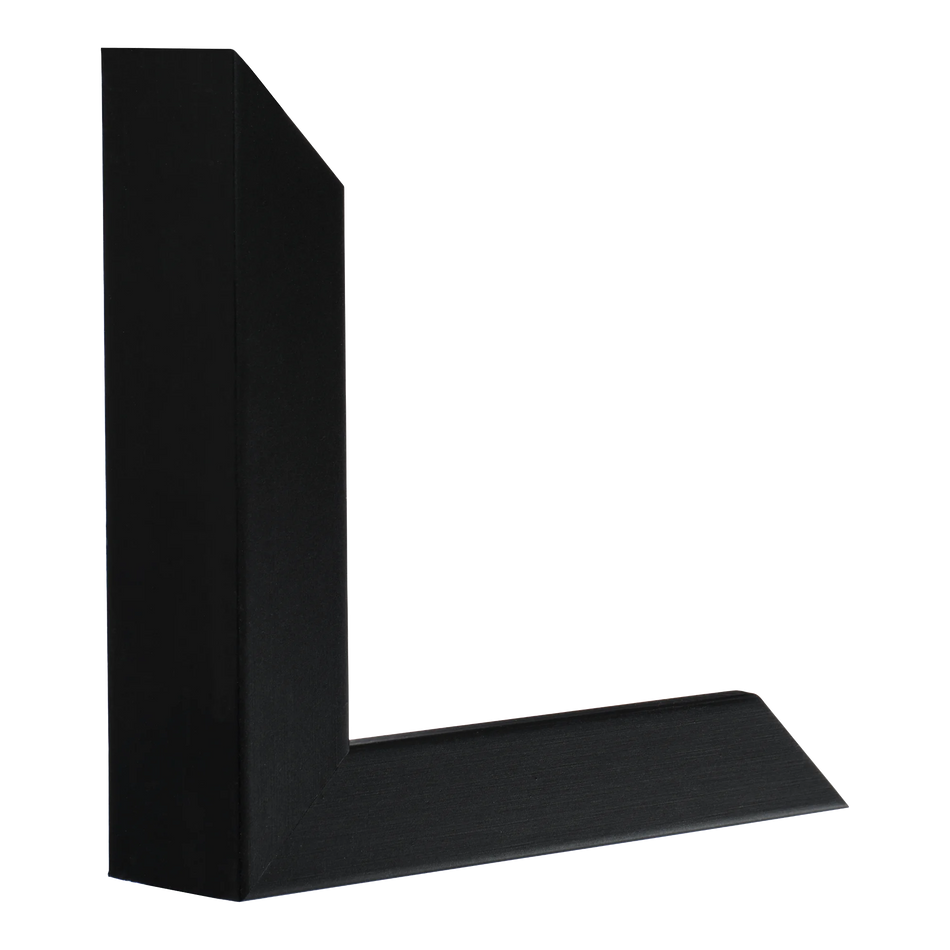 Vertical view of box black picture frame sample