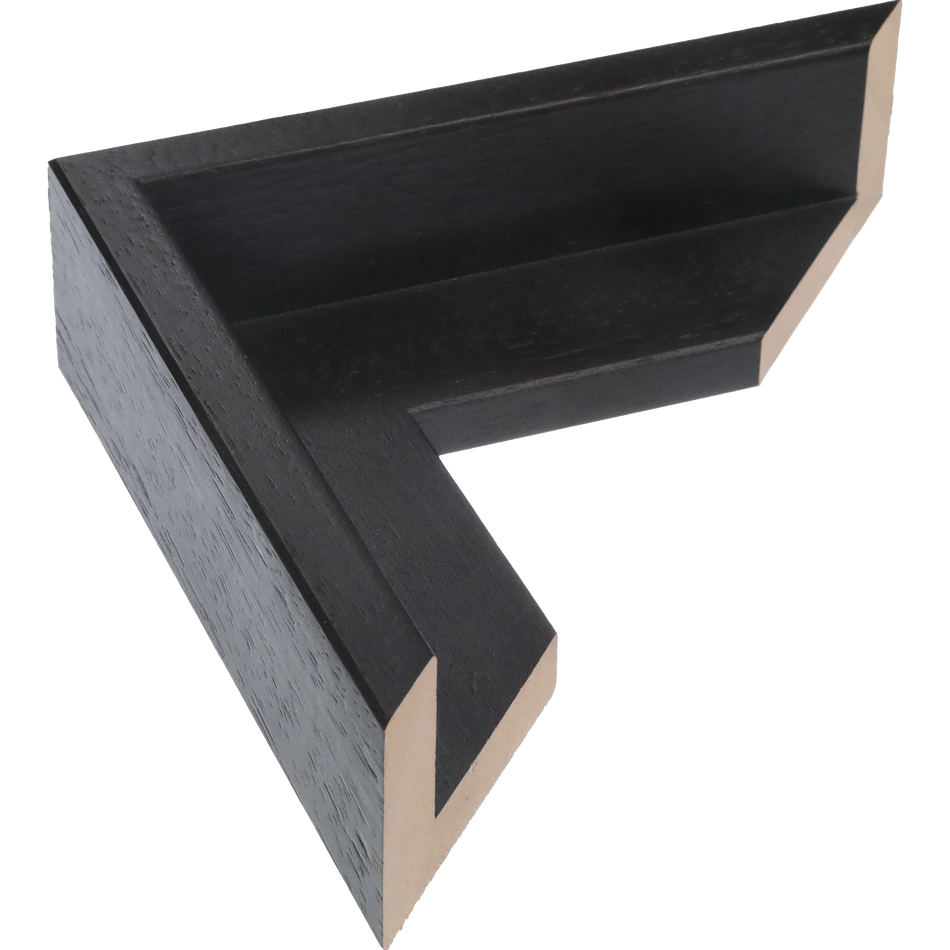 Canvas Float I in black frame