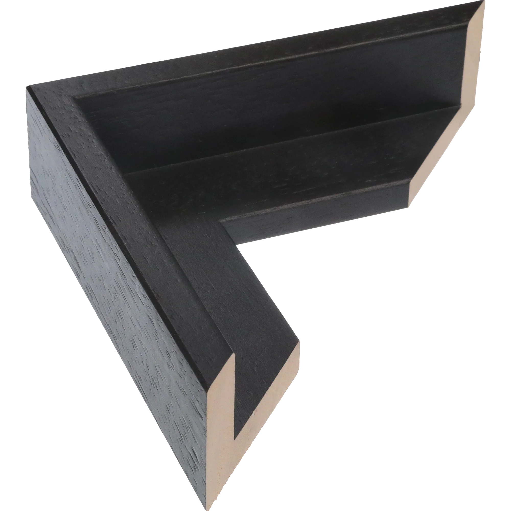 Canvas Float I in black frame
