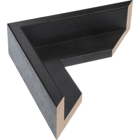 Canvas Float I in black frame