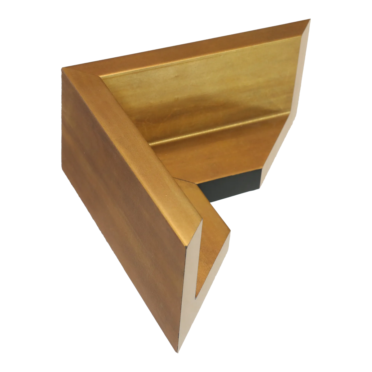 Canvas Float II in antique gold frame