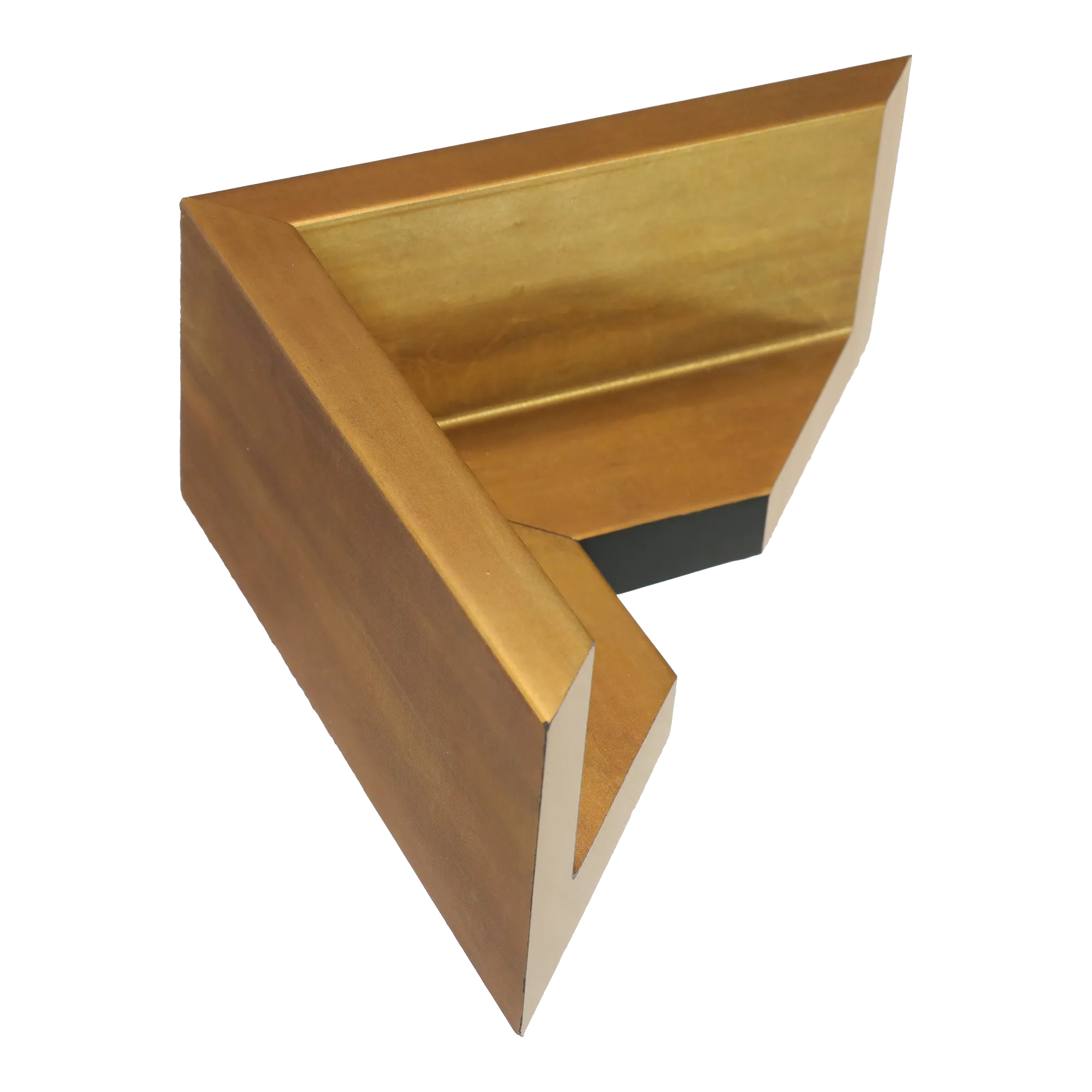 Canvas Float II in antique gold frame