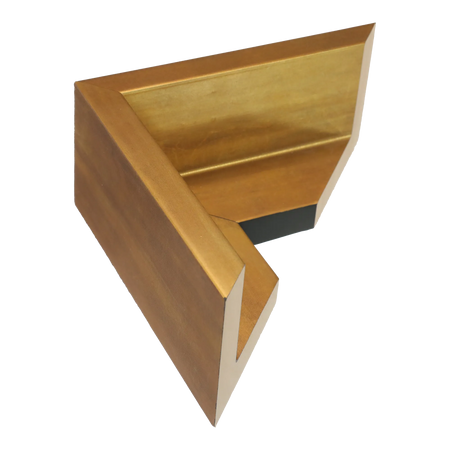 Canvas Float II in antique gold frame