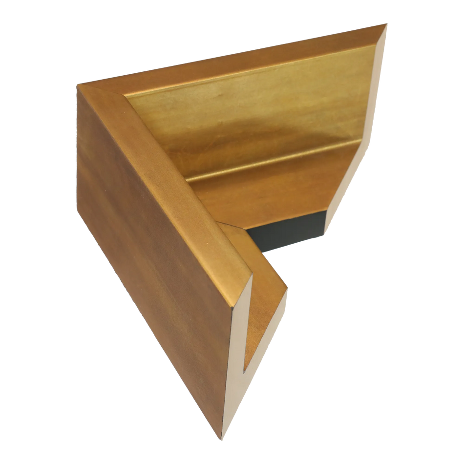 Canvas Float II in antique gold frame