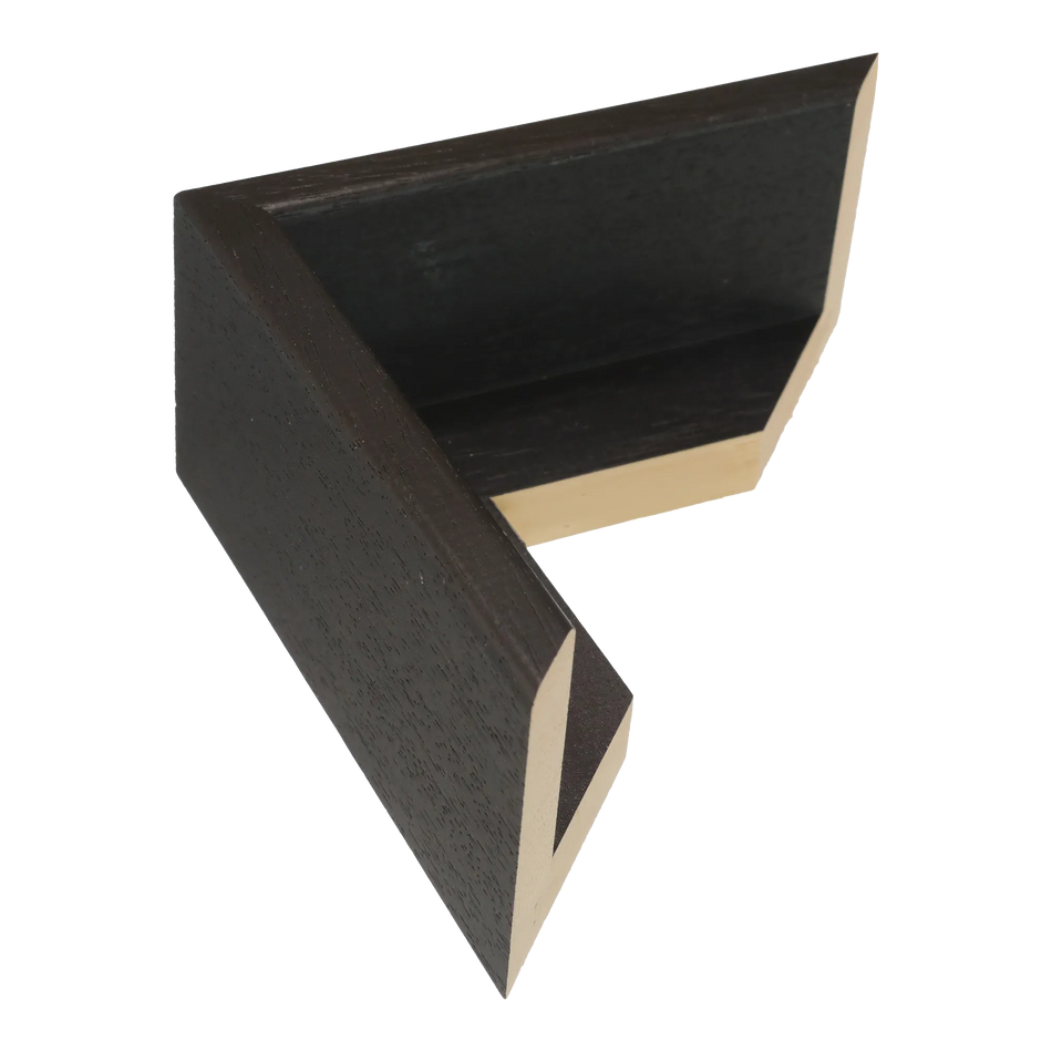 Canvas Float II in black frame