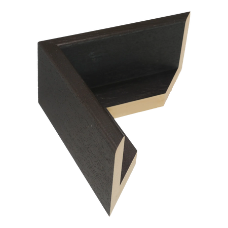 Canvas Float II in black frame