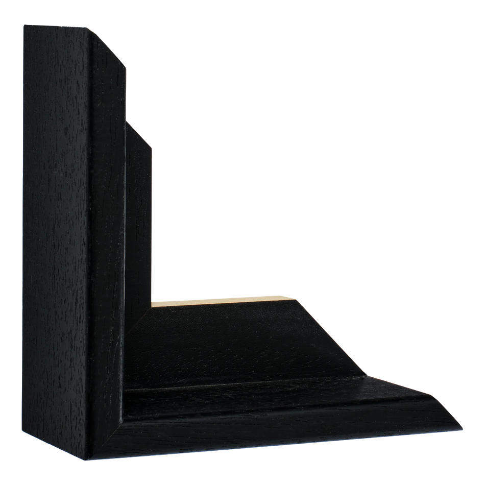 Vertical view of canvas float ii black frame