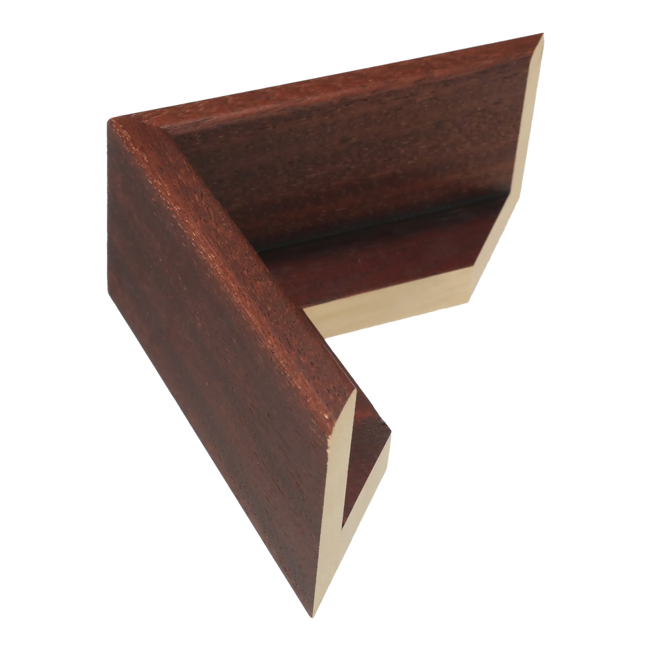 Canvas Float II in brown frame