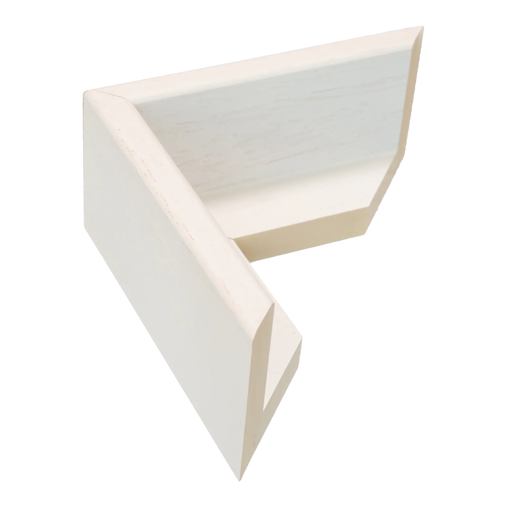Canvas Float II in white frame