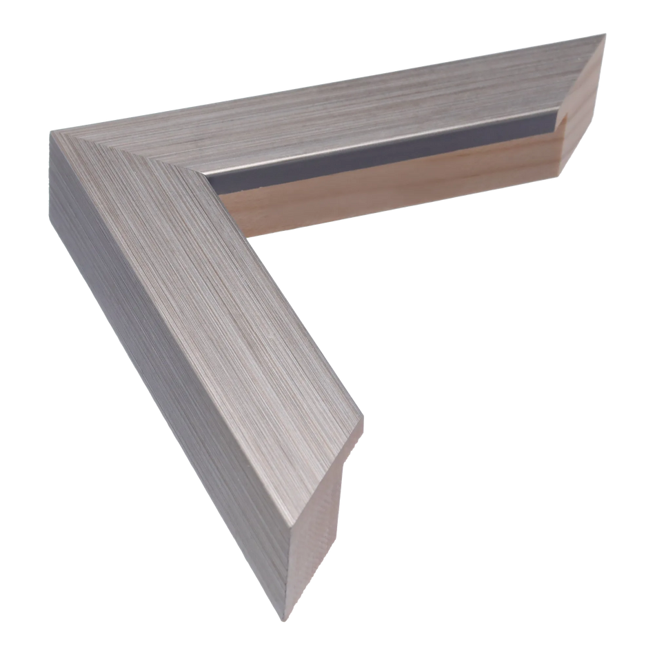 Classic I in brushed silver picture frame