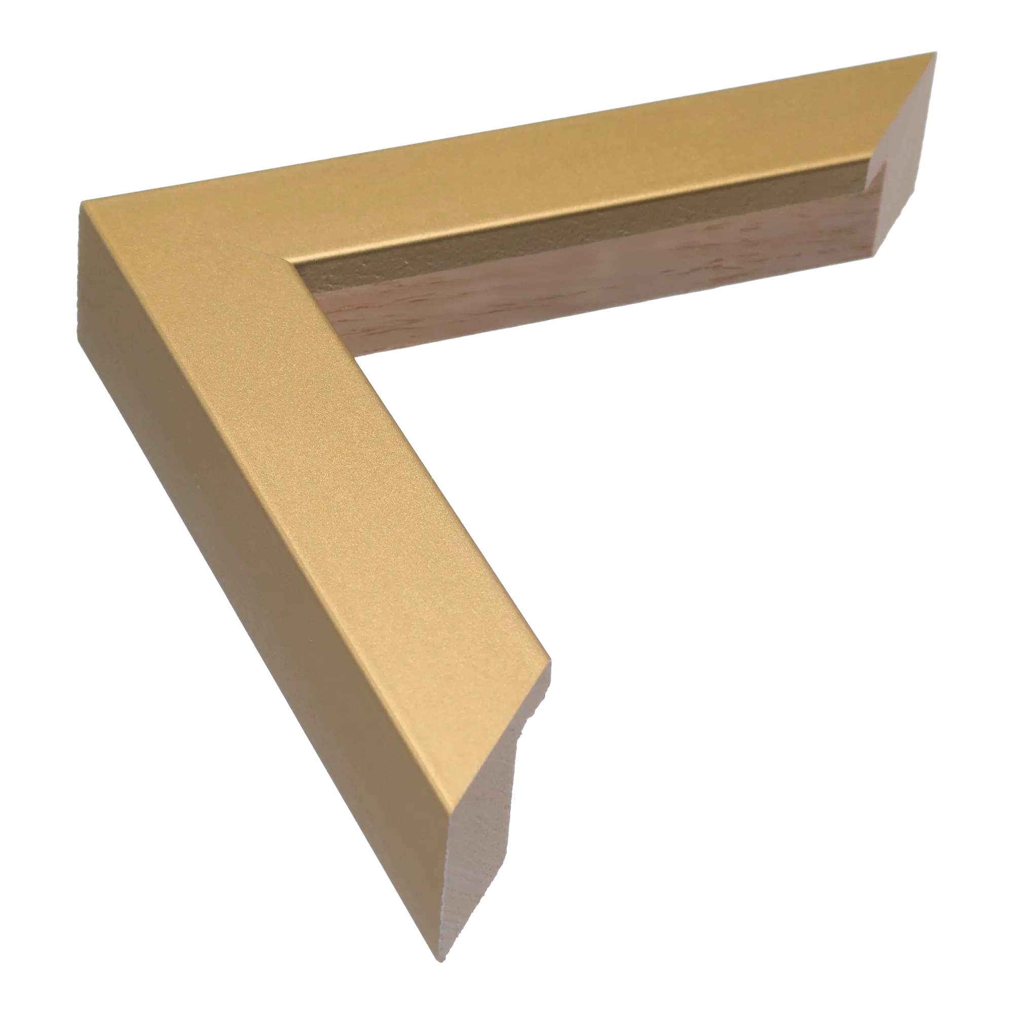 Classic I in gold picture frame