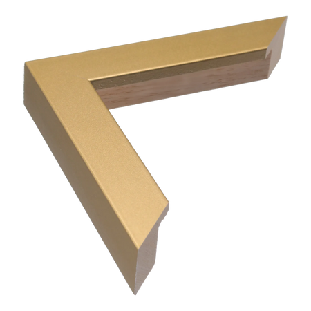 Classic I in gold picture frame