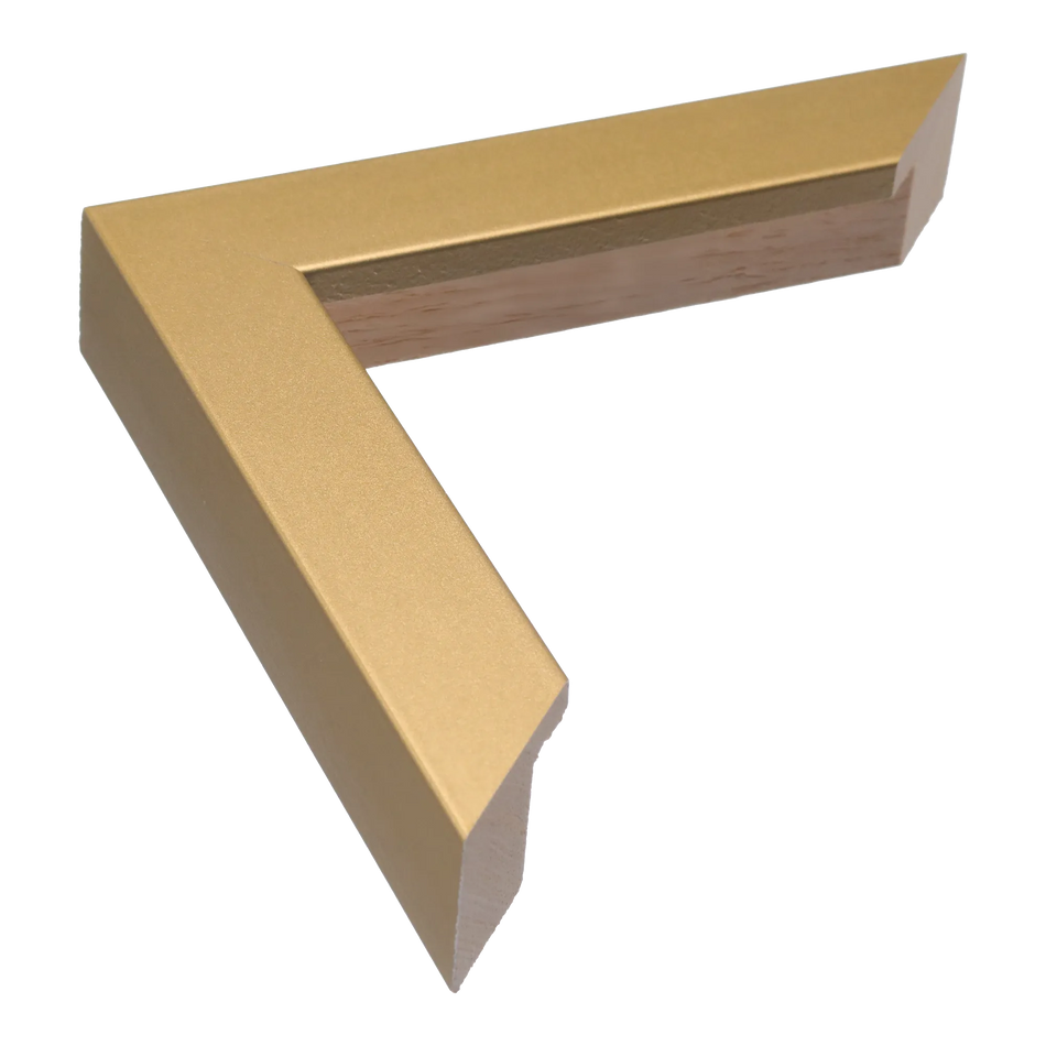 Classic I in gold picture frame