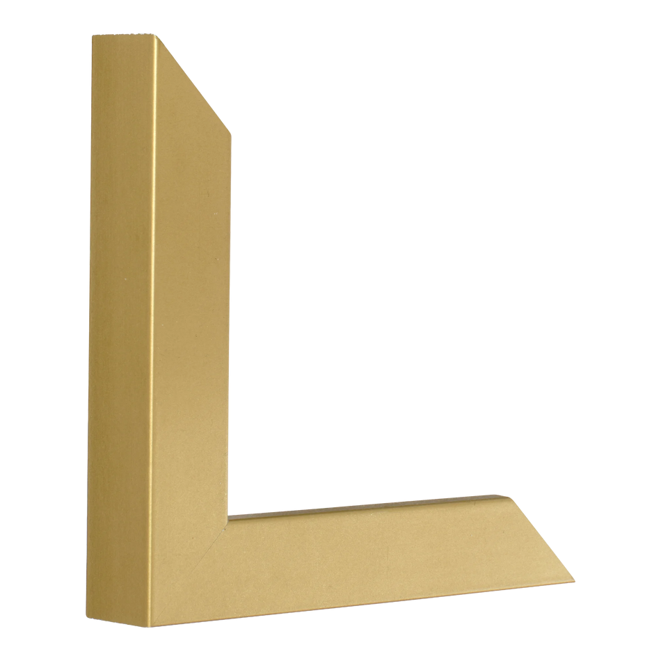 Classic I in gold picture frame