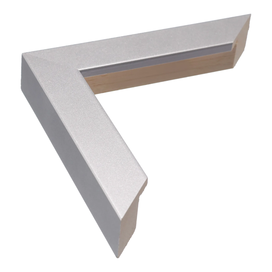 Classic I in silver picture frame