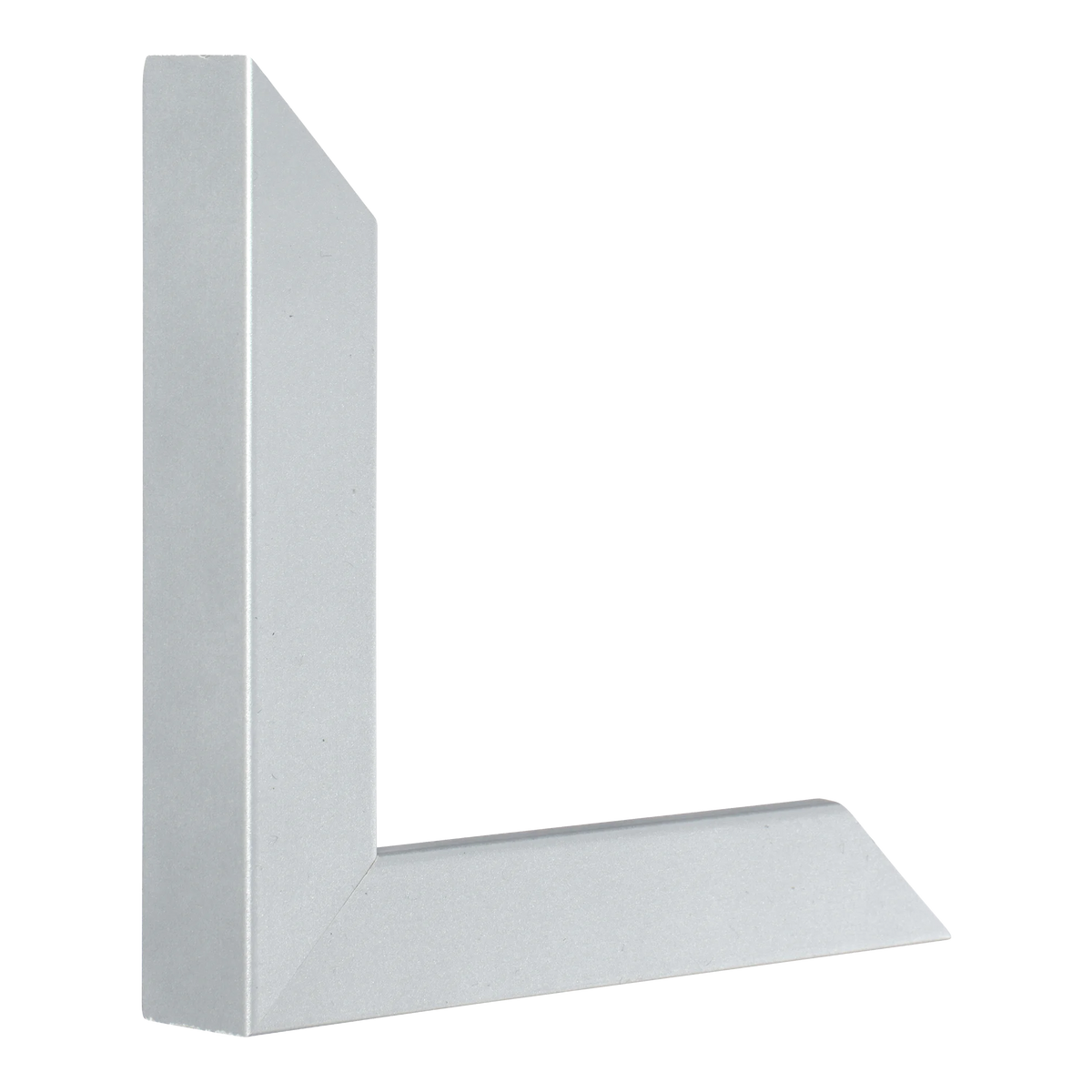 Vertical view of classic i silver picture frame