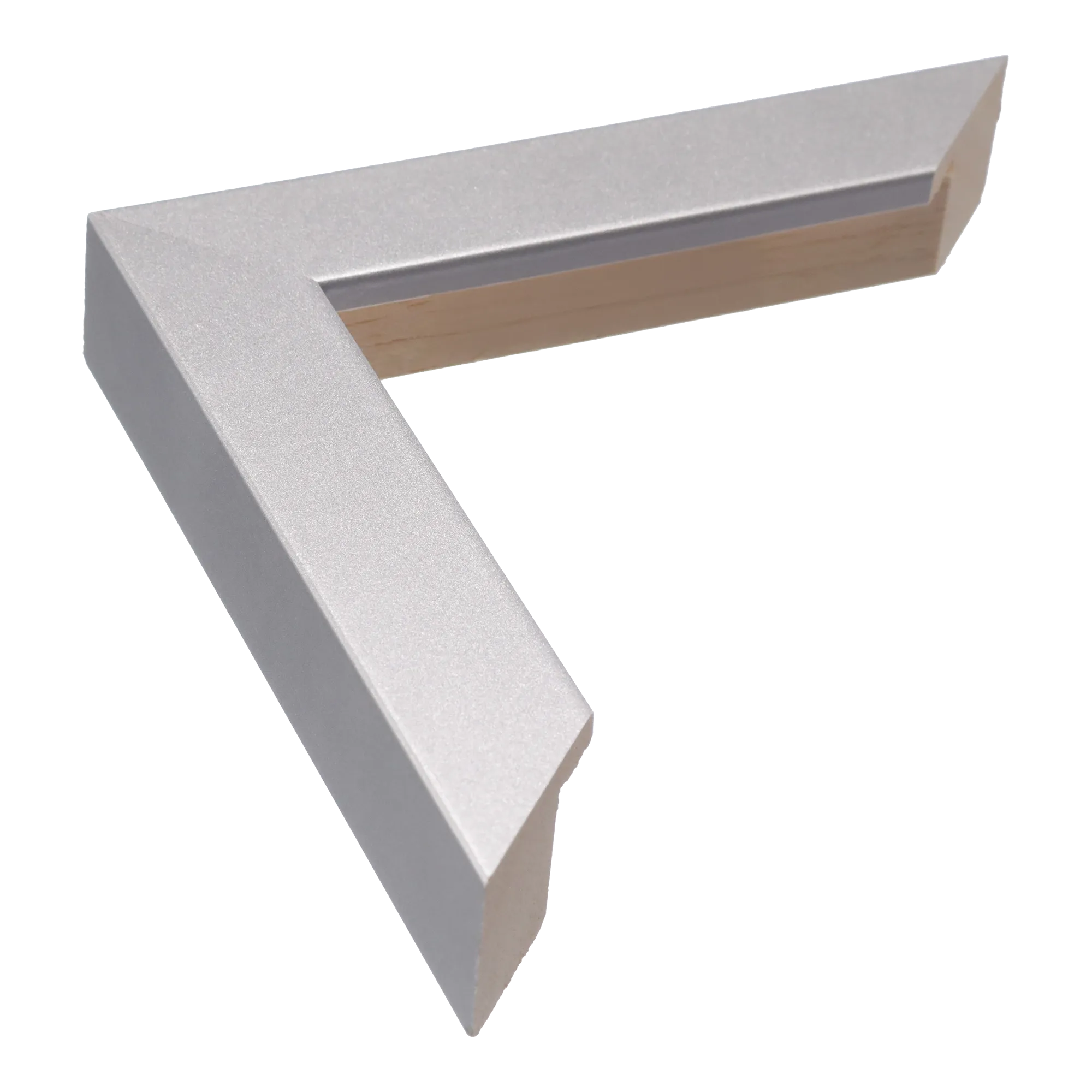 Classic I in silver picture frame