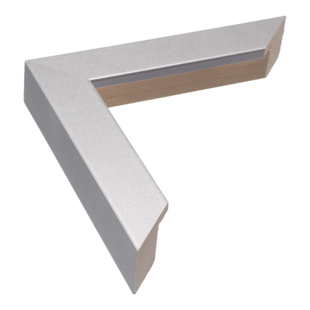 Classic I in silver picture frame