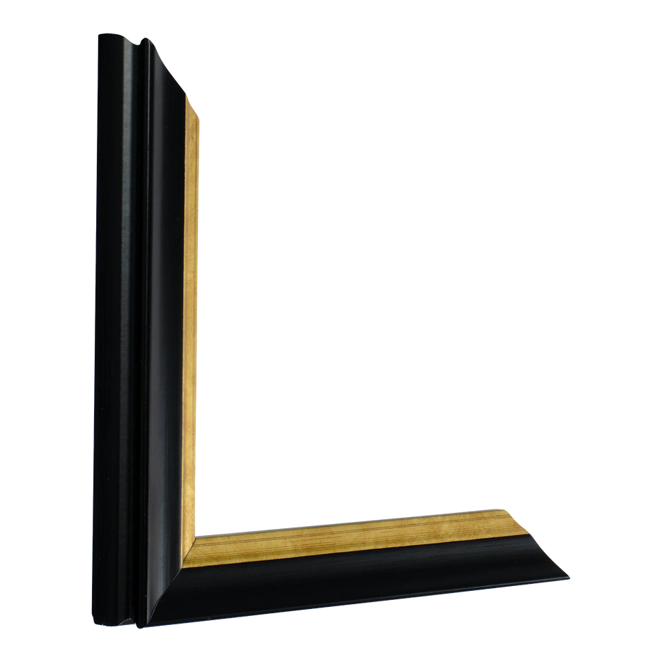 Vertical view of diploma black & gold picture frame