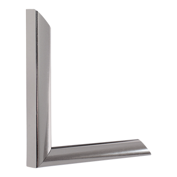 Vertical view of echo chrome picture frame