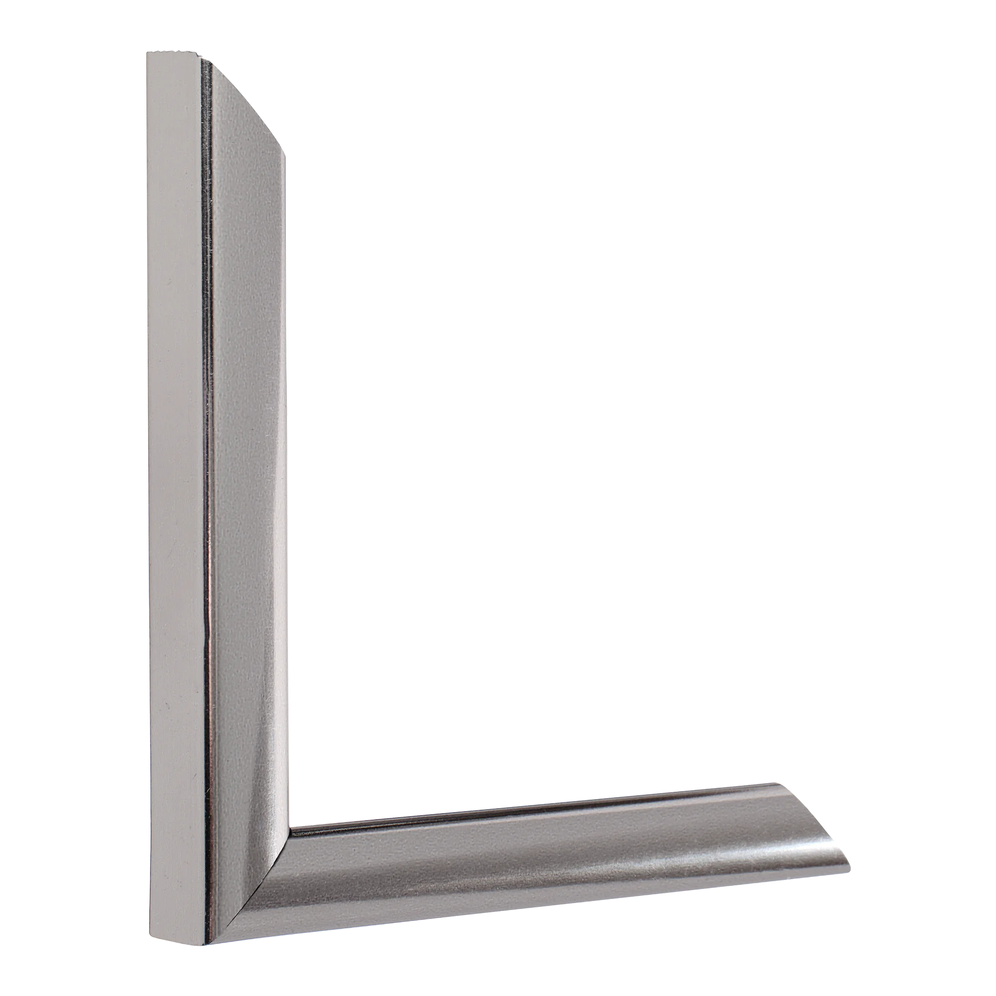 Vertical view of echo chrome picture frame