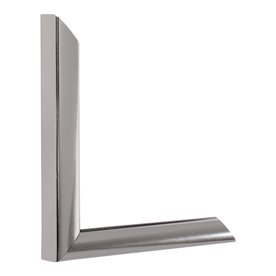 Vertical view of echo chrome picture frame