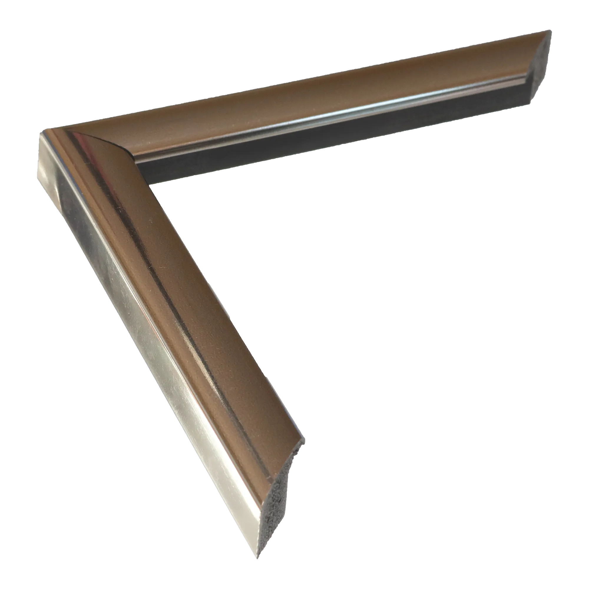 Echo in chrome picture frame