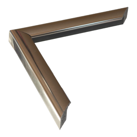 Echo in chrome picture frame