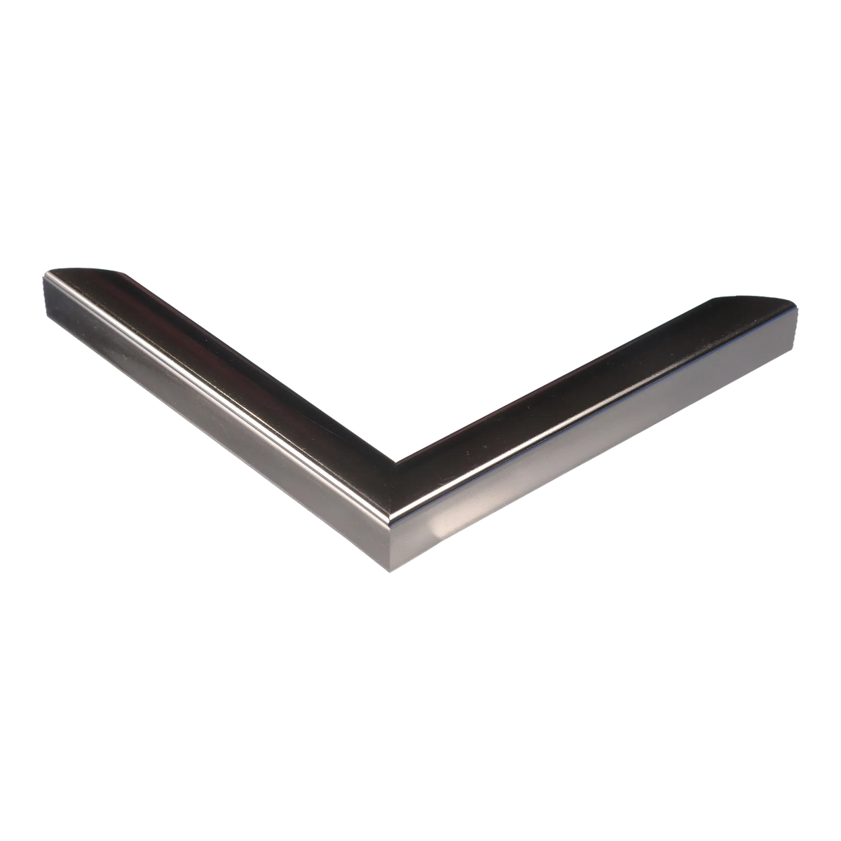 Corner view of Echo in chrome picture frame