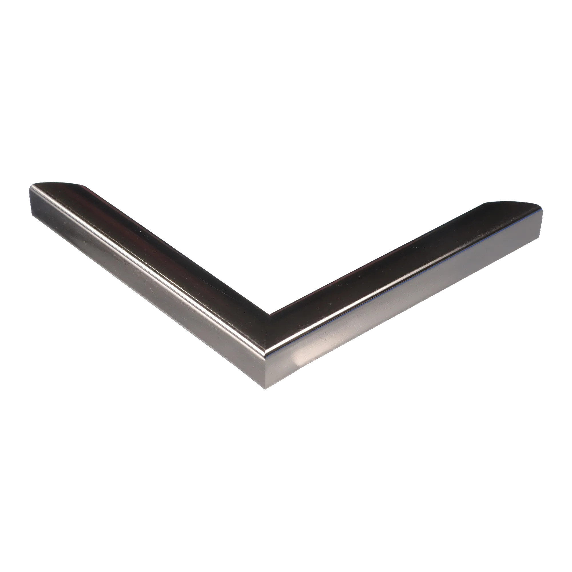 Corner view of Echo in chrome picture frame
