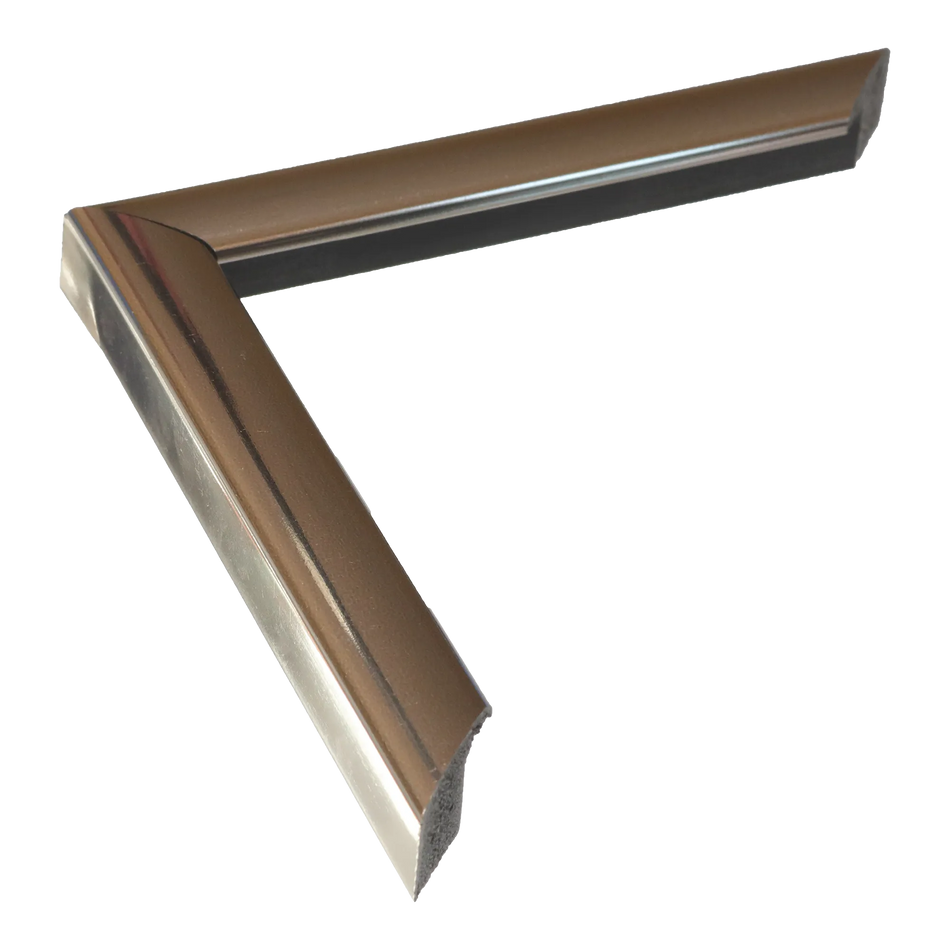 Echo in chrome picture frame