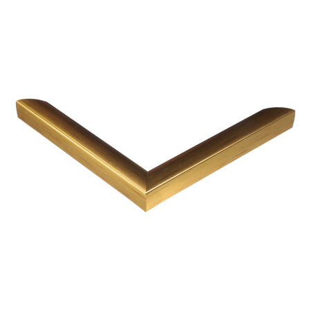 Corner view of Echo in gold picture frame