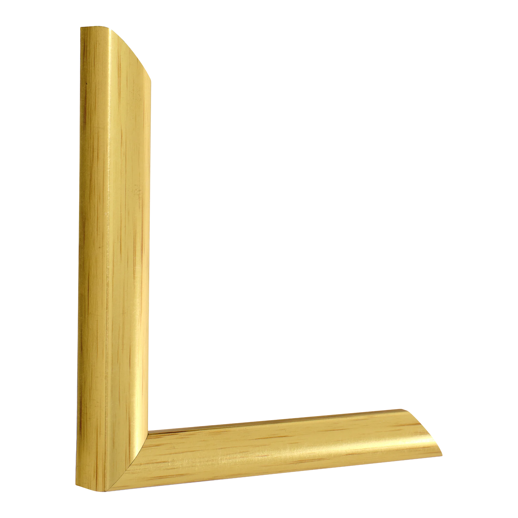 Echo in gold picture frame