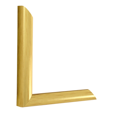 Vertical view of echo gold picture frame sample