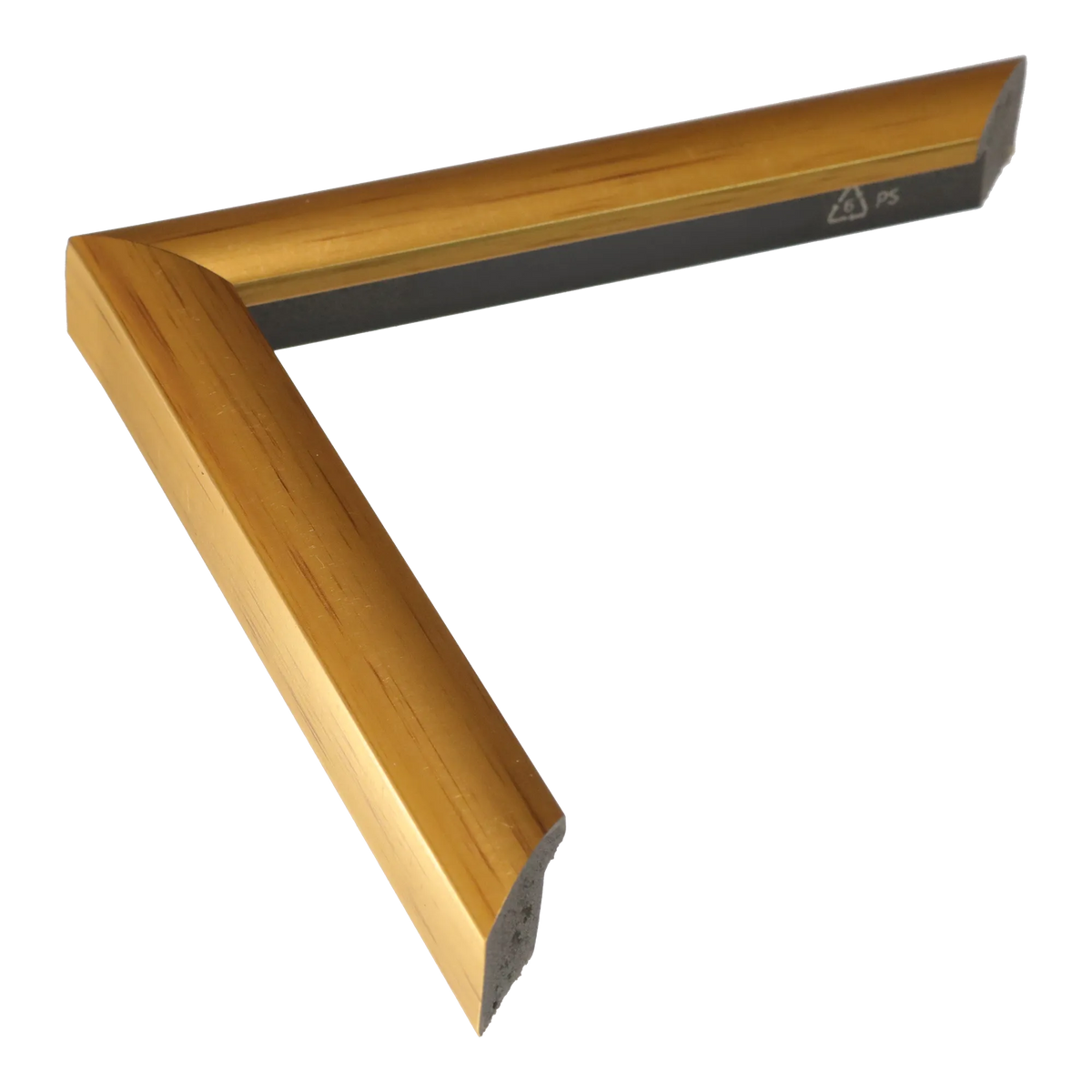 Echo in gold picture frame