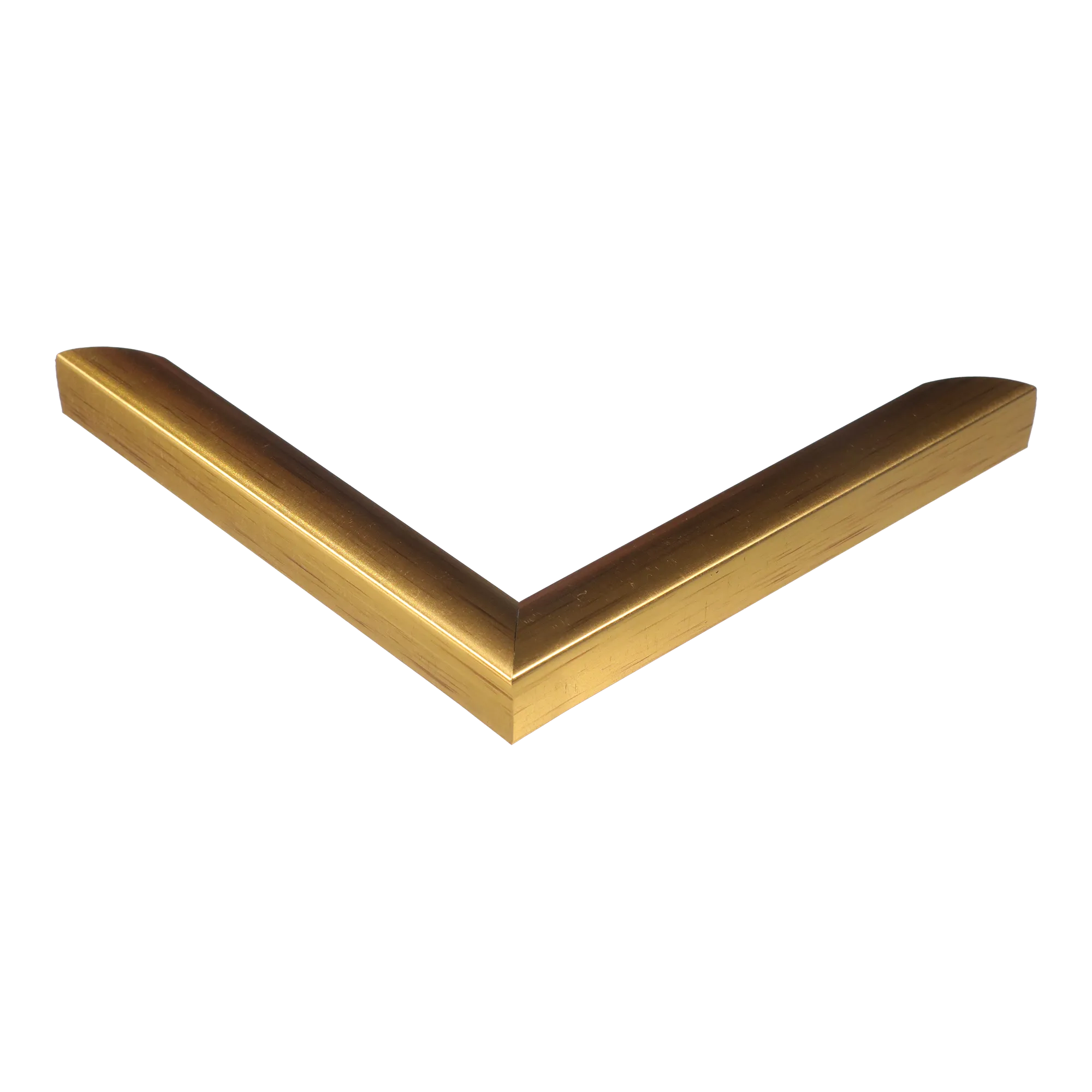 Corner view of Echo in gold picture frame
